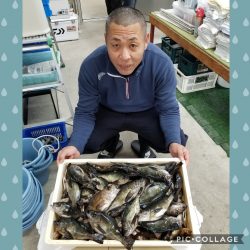 桑田観光 釣果