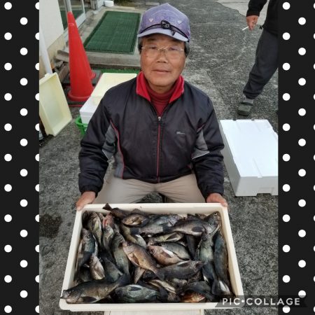 桑田観光 釣果