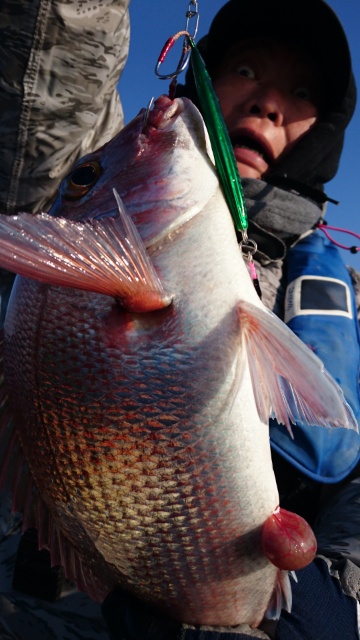 海晴丸 釣果