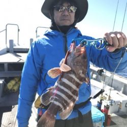 たいし丸 釣果