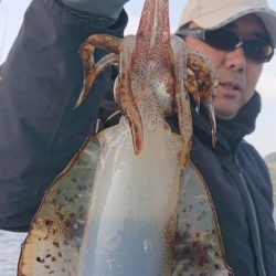 シースナイパー海龍 釣果