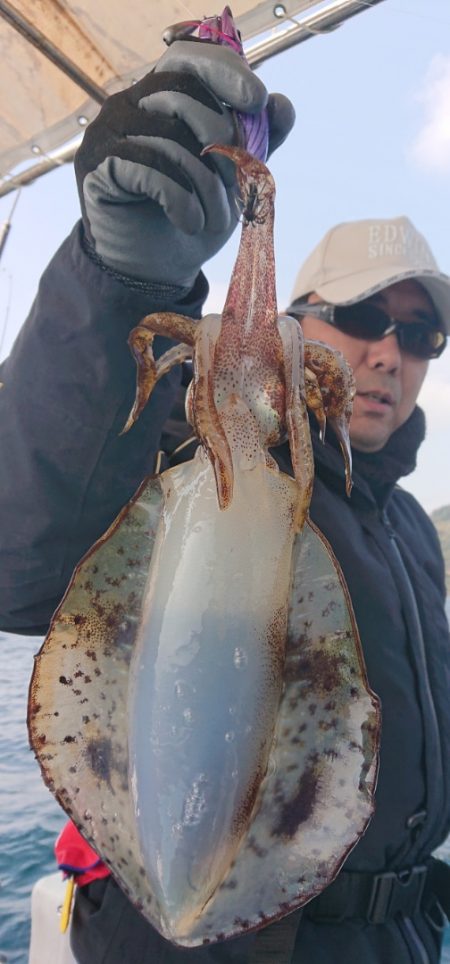 シースナイパー海龍 釣果