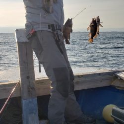 海龍丸（石川） 釣果