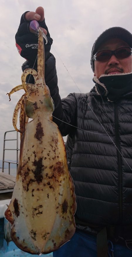 シースナイパー海龍 釣果