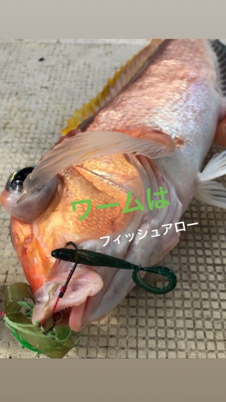 龍神丸（鹿児島） 釣果