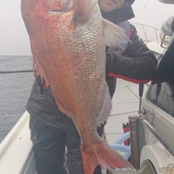 だて丸 釣果