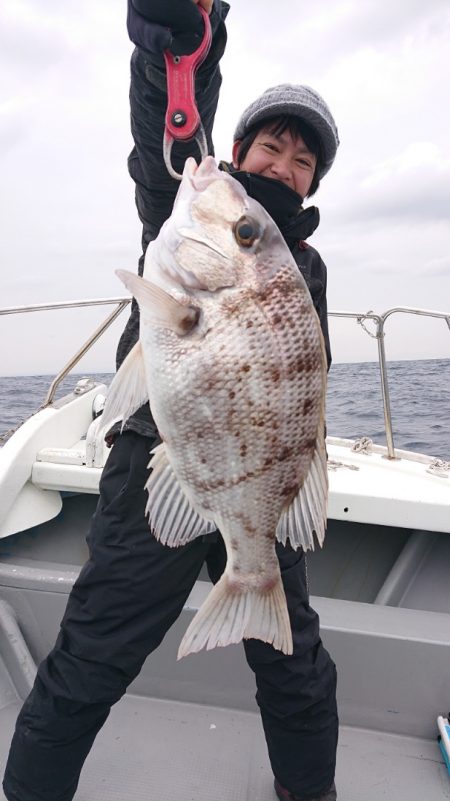 だて丸 釣果