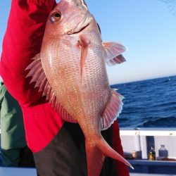 新幸丸 釣果