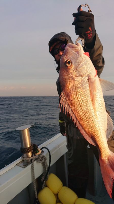 だて丸 釣果