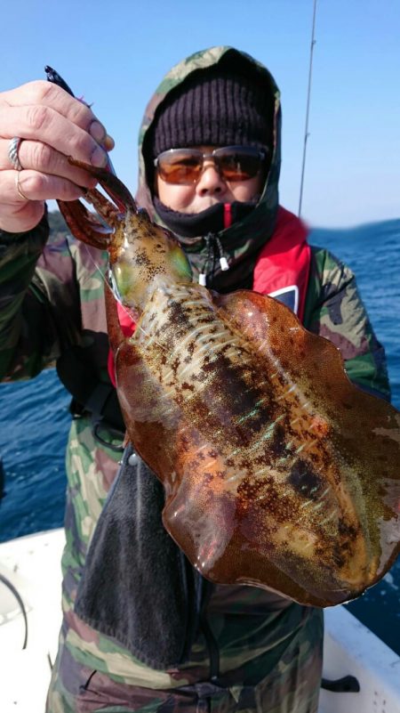 きずなまりん 釣果