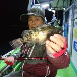 小島丸 釣果