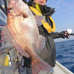 だて丸 釣果