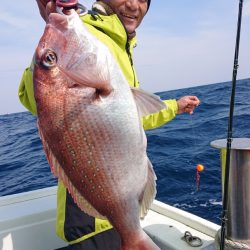 だて丸 釣果