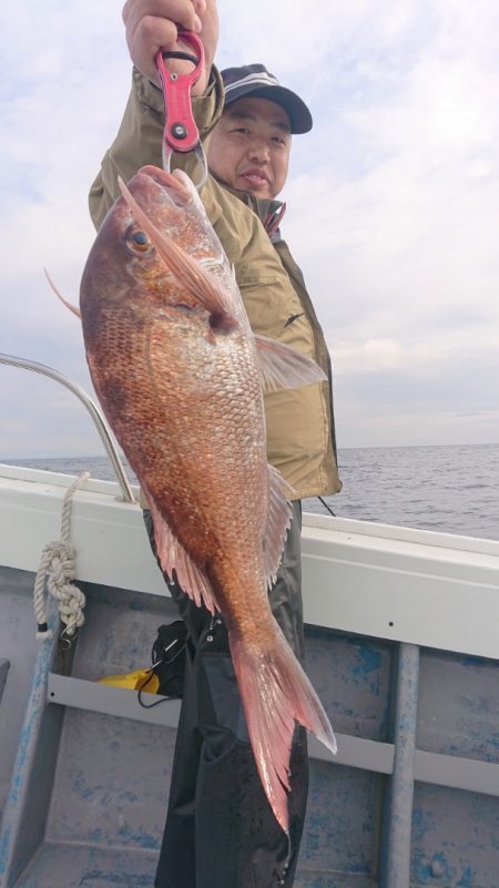 だて丸 釣果