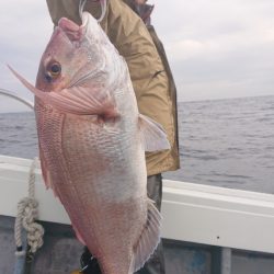 だて丸 釣果