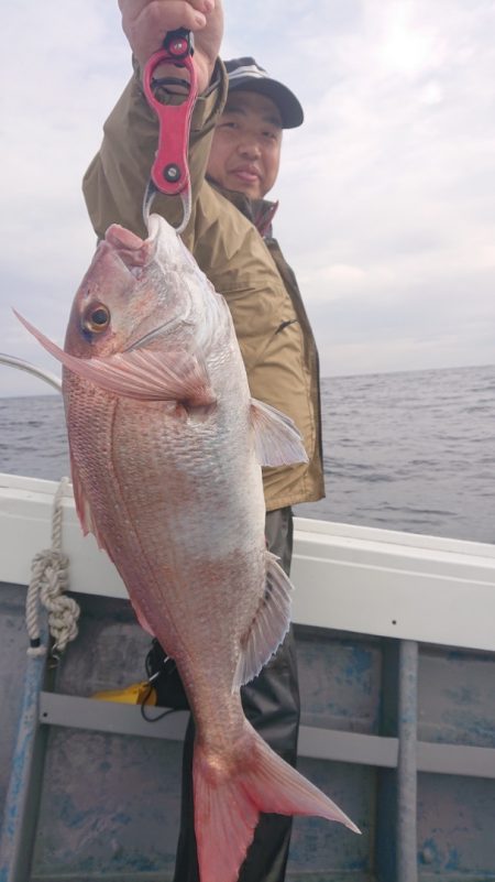 だて丸 釣果