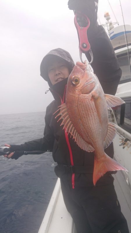 だて丸 釣果