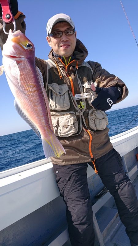 だて丸 釣果