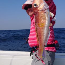 だて丸 釣果