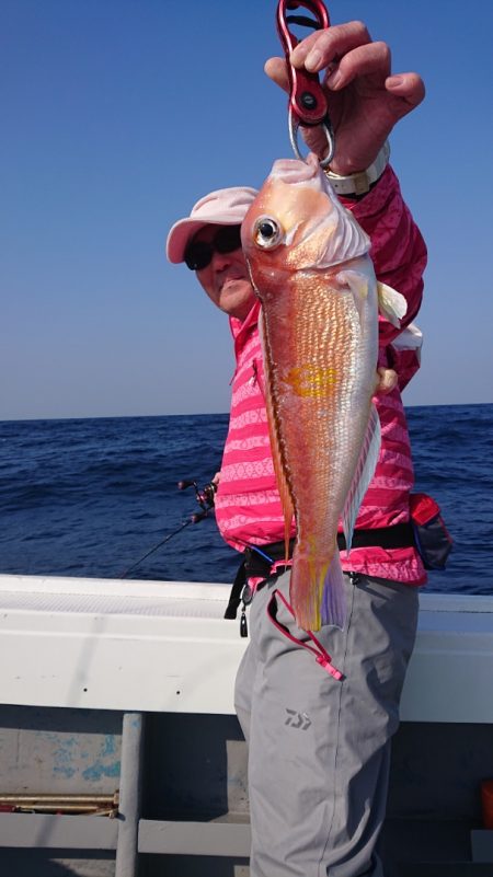 だて丸 釣果