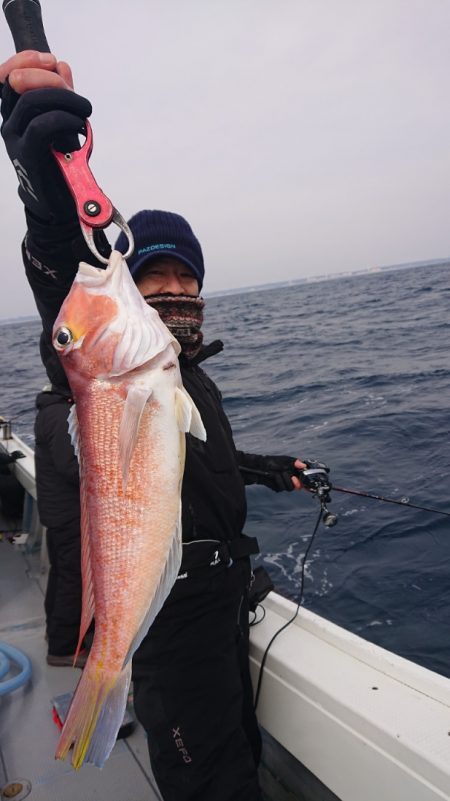 だて丸 釣果