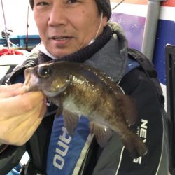 ヤザワ渡船 釣果