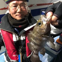 ヤザワ渡船 釣果