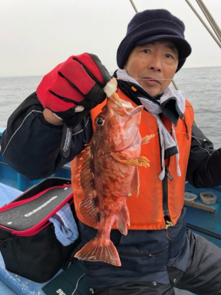 ヤザワ渡船 釣果