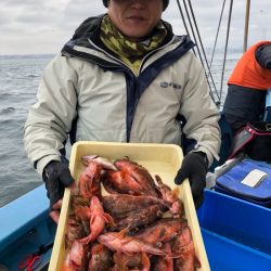 ヤザワ渡船 釣果