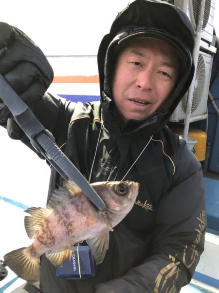 ヤザワ渡船 釣果