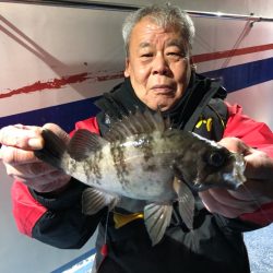 ヤザワ渡船 釣果