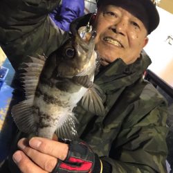 ヤザワ渡船 釣果