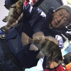 ヤザワ渡船 釣果