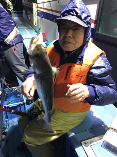 ヤザワ渡船 釣果