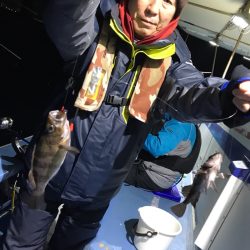 ヤザワ渡船 釣果