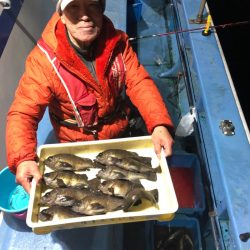 ヤザワ渡船 釣果