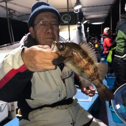 ヤザワ渡船 釣果