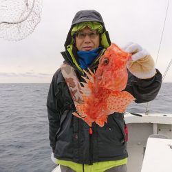 エンペラー 釣果