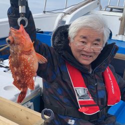 釣鯛洋 釣果