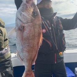 釣鯛洋 釣果