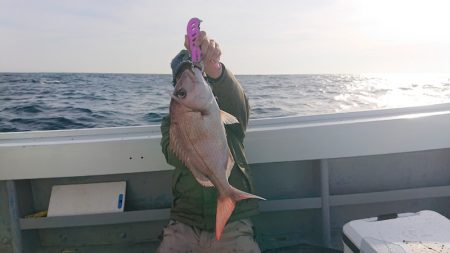 だて丸 釣果