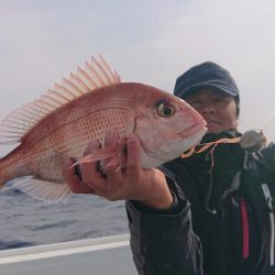 だて丸 釣果