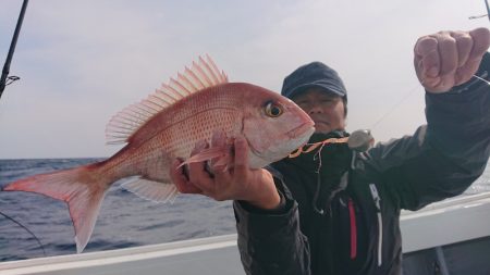 だて丸 釣果