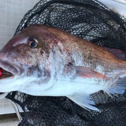 龍神丸（鹿児島） 釣果