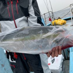 みやけ丸 釣果