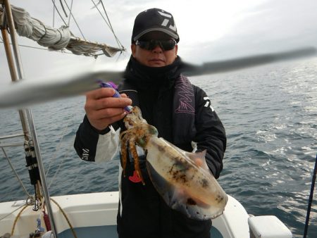 きずなまりん 釣果