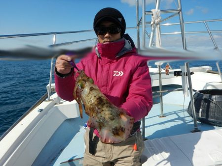 きずなまりん 釣果