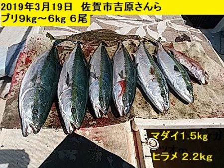 大物釣果速報！●光義丸：平戸市早福港