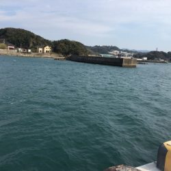 アジまだ釣れる