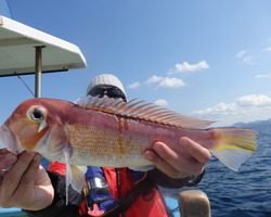 久里浜黒川本家 釣果